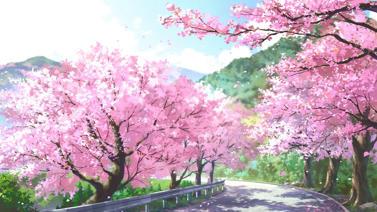 Sakura kawamine uncensored