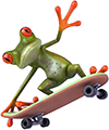 Frog skateboarder
