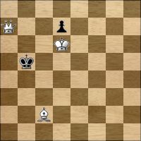 Chess problem №206957