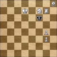 Chess problem №294560