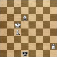 Chess problem №296474
