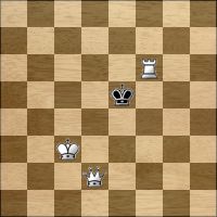 Chess problem №298665