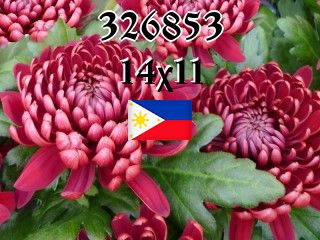 Filipino puzzle №326853