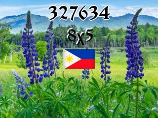 Filipino puzzle №327634