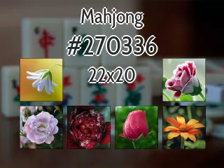 Mahjong №270336