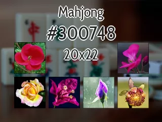 Mahjong №300748