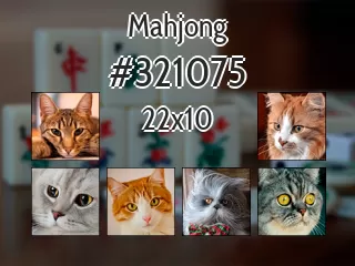 Mahjong №321075