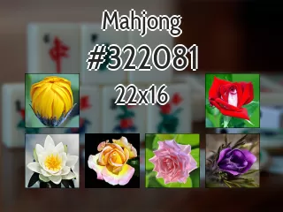Mahjong №322081