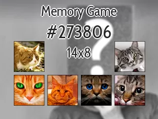 Memory game №273806