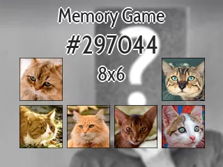 Memory game №297044