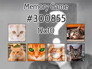 Memory game №300855