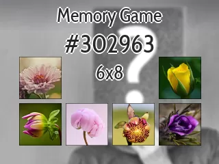 Memory game №302963