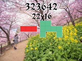 Puzzle polyominoes №323642