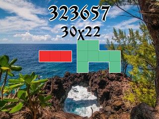 Puzzle polyominoes №323657