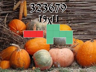 Puzzle polyominoes №323679