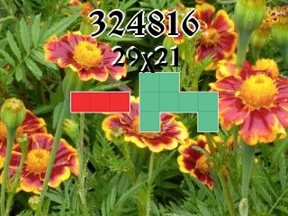 Puzzle polyominoes №324816