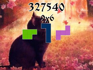 Puzzle polyominoes №327540