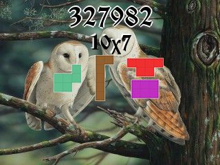 Puzzle polyominoes №327982