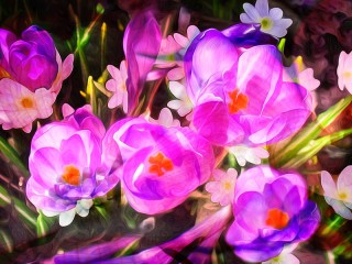 Jigsaw Puzzle «watercolor flowers»