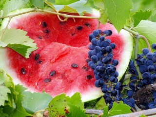 Jigsaw Puzzle «Watermelon and grapes»