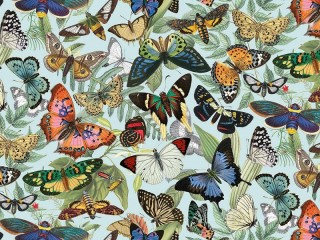 Jigsaw Puzzle «Butterfly Ball»
