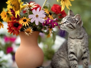 Jigsaw Puzzle «Bouquet and cat»