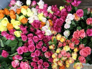 Jigsaw Puzzle «Bouquets of roses»