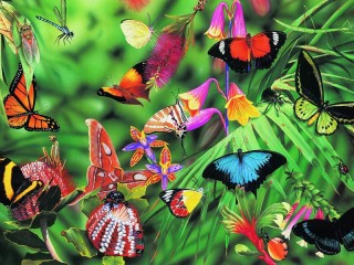 Jigsaw Puzzle «Butterflies and Beetles»
