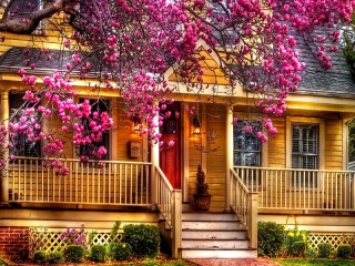 Jigsaw Puzzle «house in bloom»