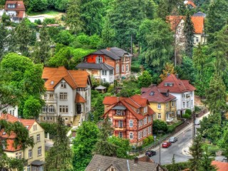 Jigsaw Puzzle «Town in the woods»