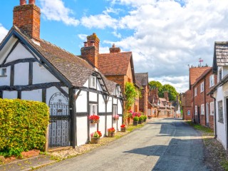 Jigsaw Puzzle #73241