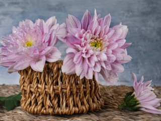 Jigsaw Puzzle «Chrysanthemums in a basket»