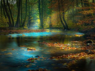 Jigsaw Puzzle «forest river»