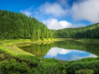 Jigsaw Puzzle «Forest Lake»
