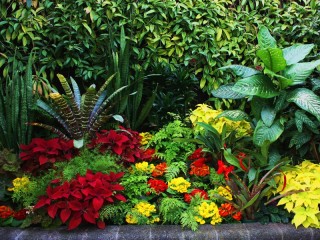 Jigsaw Puzzle «summer flowerbed»