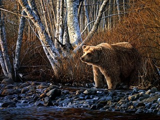 Jigsaw Puzzle «Bear by the river»