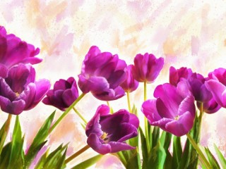 Jigsaw Puzzle «Painted tulips»