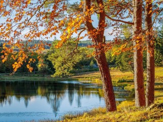 Jigsaw Puzzle «Autumn landscape»