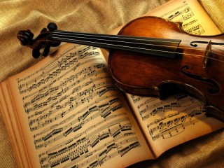 Jigsaw Puzzle «Notes and violin»