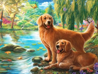 Jigsaw Puzzle #62317