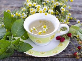 Jigsaw Puzzle «Chamomile and strawberries»