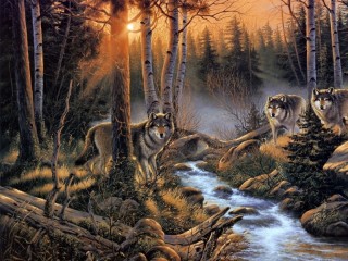 Jigsaw Puzzle «Shadow of the forest»