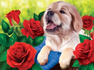 Jigsaw Puzzle «Puppy and roses»