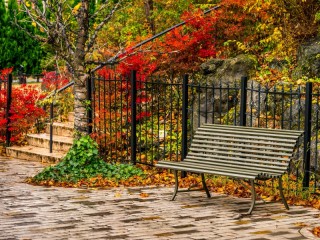 Jigsaw Puzzle «Bench»