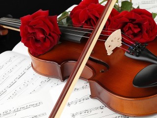 Jigsaw Puzzle «The bow and violin»