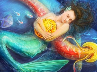 Jigsaw Puzzle «Sleeping mermaid»