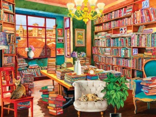 Jigsaw Puzzle «Old library»