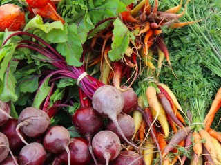 Jigsaw Puzzle «Beets and carrots»