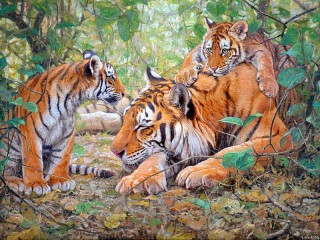 Jigsaw Puzzle «Tigress with cubs»