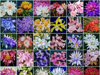 Jigsaw Puzzle «Flowers on silk»